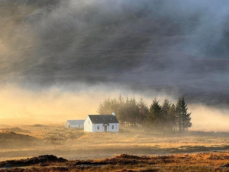 A white cottage and a stand of pines on an open moor in low mist